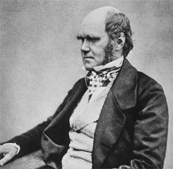 Great-great-great-granddaughter of Charles Darwin returns to&nbsp;church