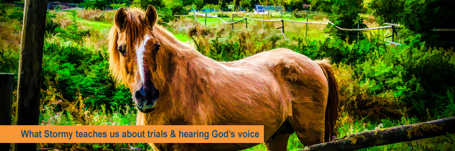 What Stormy teaches us about trials, trust, faith and hearing the voice of&nbsp;God