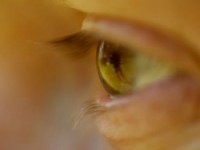 “Ojo por ojo” significa que amas a tu prójimo como a ti&nbsp;mismo