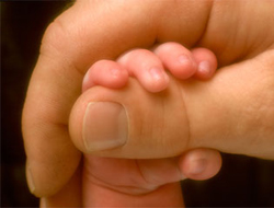 A 2009 Christmas eve&nbsp;miracle