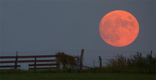 Did you know four blood moons are scheduled to appear in 2014 and 2015? Photo Blood Moon Wikipedia/Roadcrusher