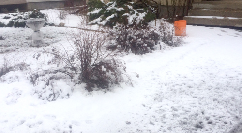 To the youth of the world -- the white stuff is called snow.