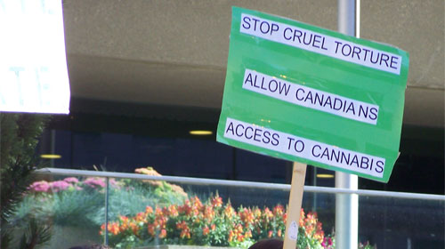 Record number of youth addicted to Marijuana due to a significant increase in its&nbsp;potency