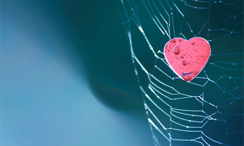 Rethinking the “desires of your&nbsp;heart”