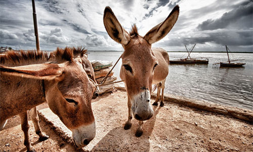 Image: sun_rise_light_files/foter/CC BY-NC-ND