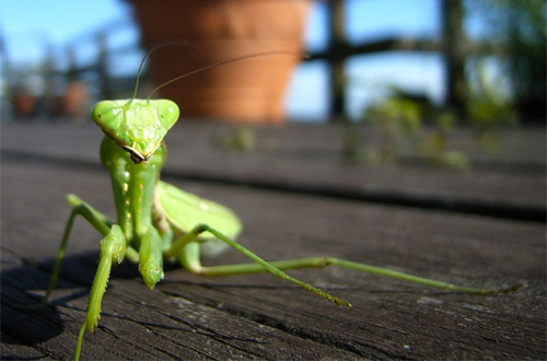 Photo: Daiju Azuma/Foter/CC BY-SA