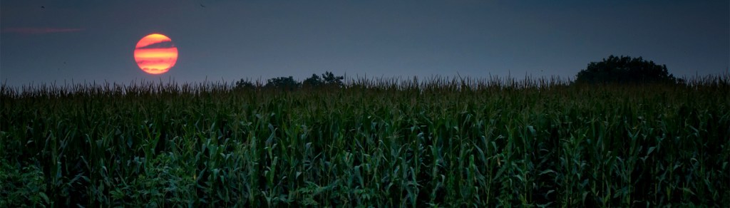 Did speaking in tongues save Kathi’s&nbsp;life?