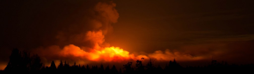 As food for&nbsp;them?