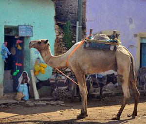 Downtown Axum. Photo: Flickr/Favila Roces