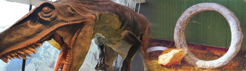 RIGHT: Roll of fossilized barbwire Photo Creation.com | LEFT: Photo Choo Yut Shing/Flickr