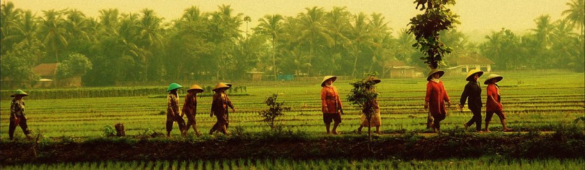 Sidokarto, Indonesia Photo: Jose Javier Martin Espartosa/Flickr