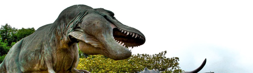 Dinosaur blood vessel tell us the fossilized bones are not 80 million year old. Photo: Jarvemc/Flickr