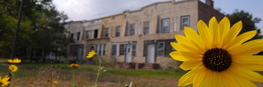 Abandoned homes in Gary, Indiana Photo: Eric Allix Rogers/Flickr/Creative Commons