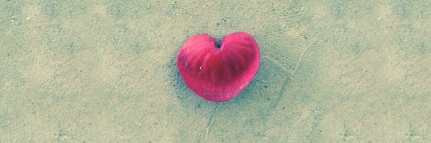 Photo of the Heart shaped leaf that fell at Laura's feet as she meditated on God's love for her.