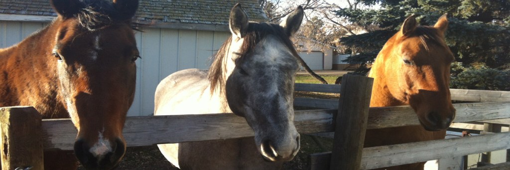 A safe place to&nbsp;grieve