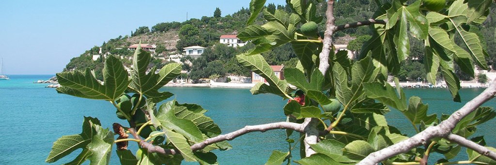 Start doubting your&nbsp;doubts