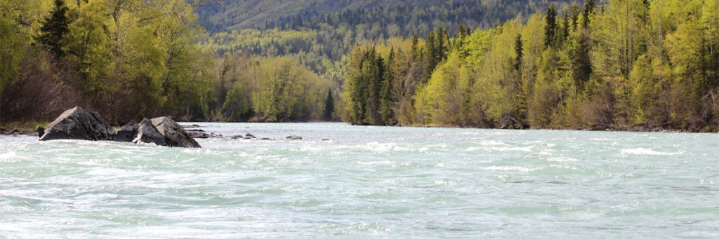 Holy Spirit gives pastor a word of wisdom on how to save a woman’s life with his fishing&nbsp;rod