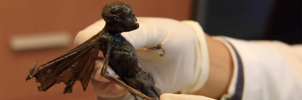 A creature from the&nbsp;abyss?