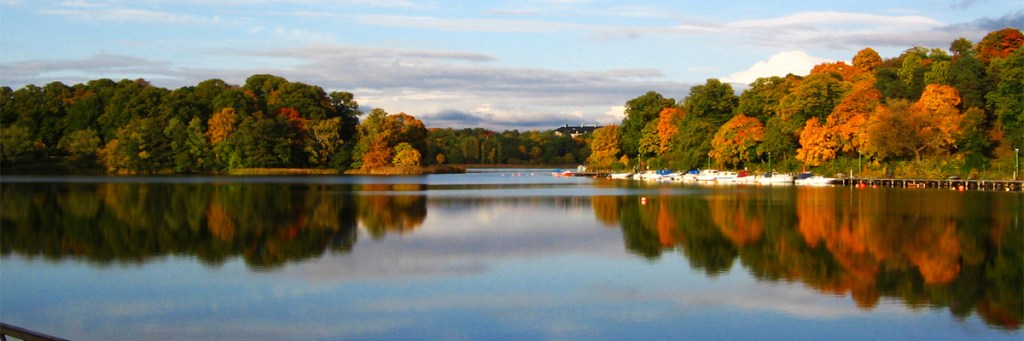 Meditation: A kind of&nbsp;hush