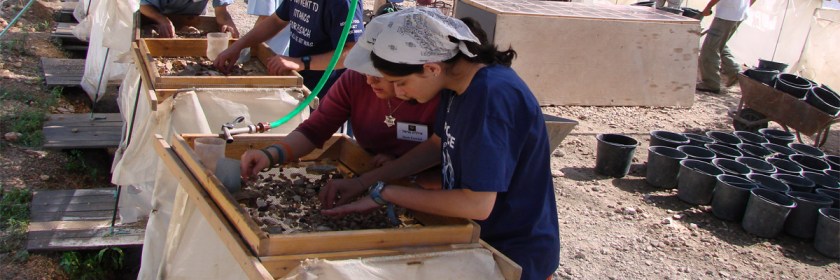 Workers sifting through the 400 truckloads of dirt hauled out of the Temple Mount as part of the Temple Mount Sifting Project. Photo: Zachi Dvira Pikiwiki Israel