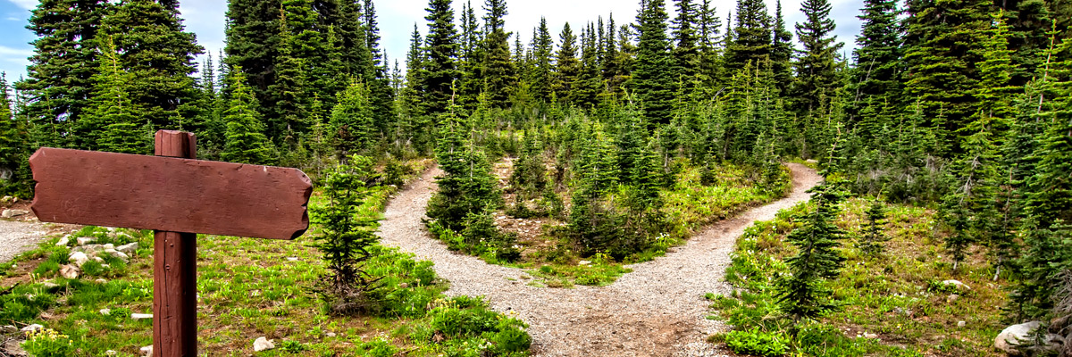 The struggle to choose the right path. Credit: James Wheeler/Flickr/Creative Commons