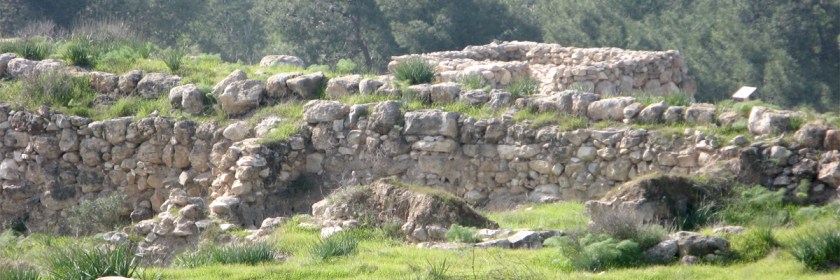 Tel Lachish from inside the city. Credit: Wikipedia/Liadmalone