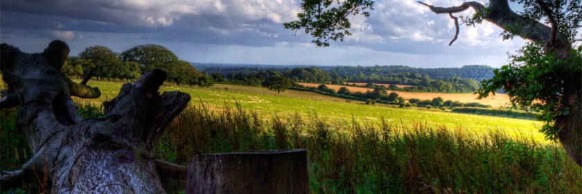 A scene near Hampshire England. Credit: Neil Howard/Flickr/Creative Commons