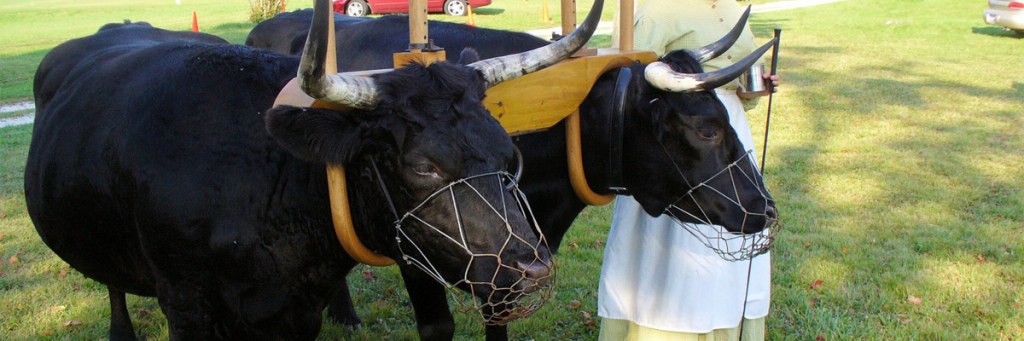 Dealing with Insecurity: The&nbsp;workaholic