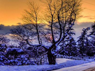 Pero Satanás nos&nbsp;impidió