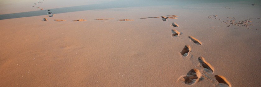 Credit: Michael Mazzamuto/Flickr/Creative Commons