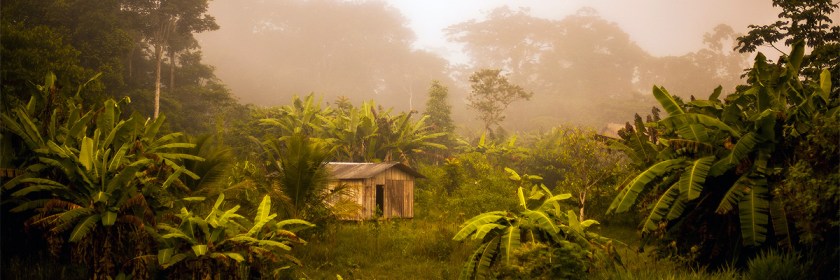 Brazilian Amazon Credit: Guto de Lima/Flickr/Creative Commons