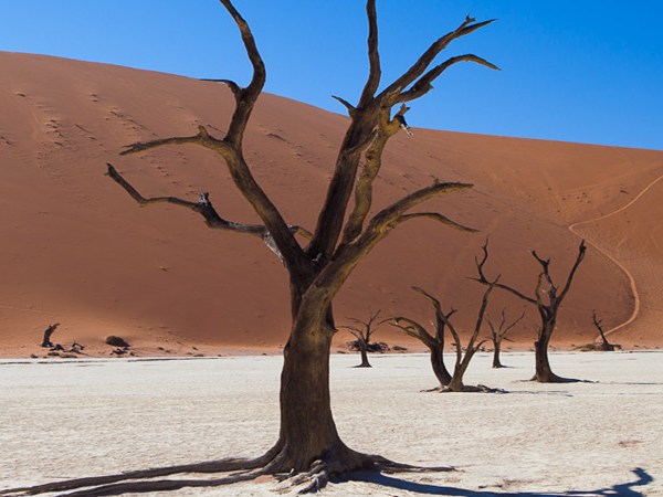 Sanar nuestro rechazo