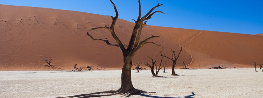 Nambia desert Credit: John Adams/Flickr/Creative Commons