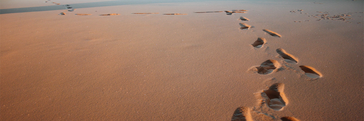 Credit: Michael Mazzamuto/Flickr/Creative Commons