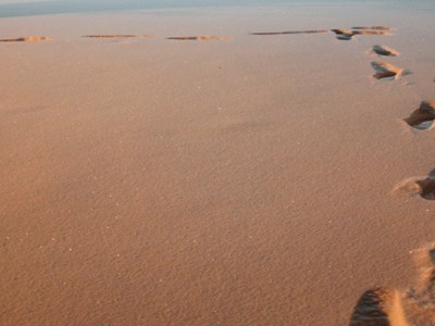 Cada paso que&nbsp;doy