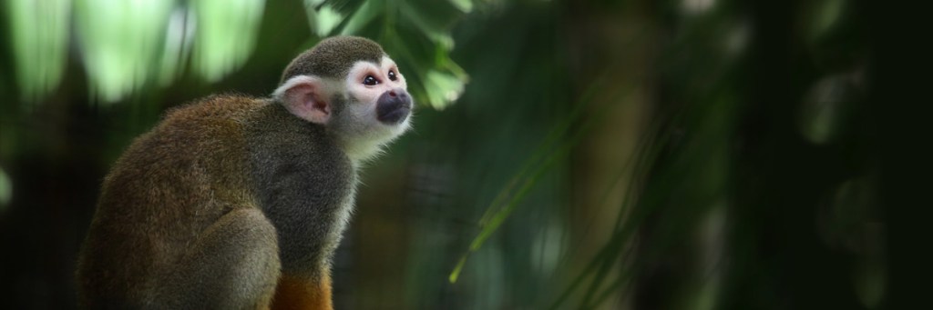 Evolving Evolutionists?