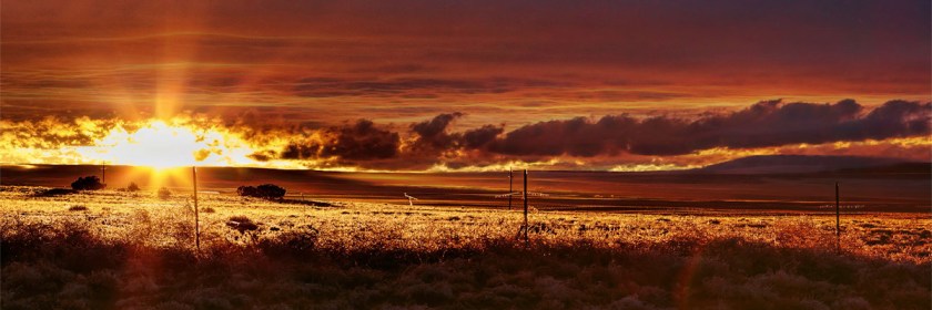 Near Apache, Arizona Credit: Scott Sanford/Flickr/Creative Commons