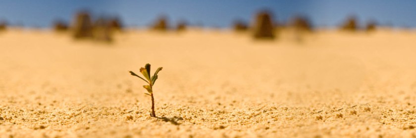 Credit: Volker Neumann/Flickr/Creative Commons