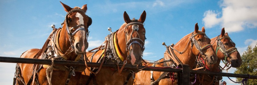 Credit: Alex Ferguson/Flickr/Creative Commons