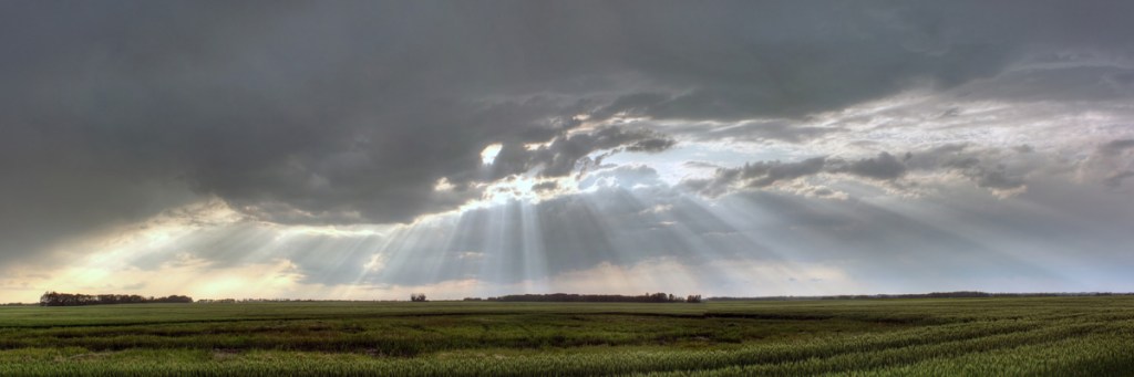 The Holy Spirit wants to be your personal&nbsp;trainer