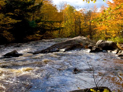El río de la&nbsp;vida