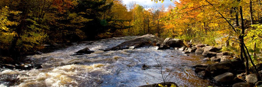 Credit: Johndan Johnson-Eliola/Flickrt/Creative Commons