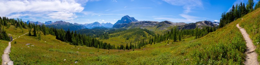 Credit: Richard Carter/Flickr/Creative Commons