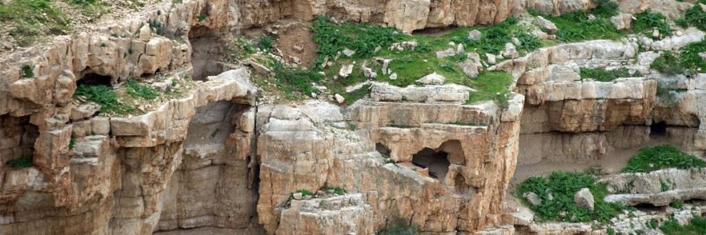 Under the wing of a prophet — schools of the&nbsp;prophets