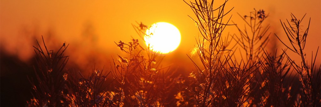 The 20-year global warming&nbsp;pause?