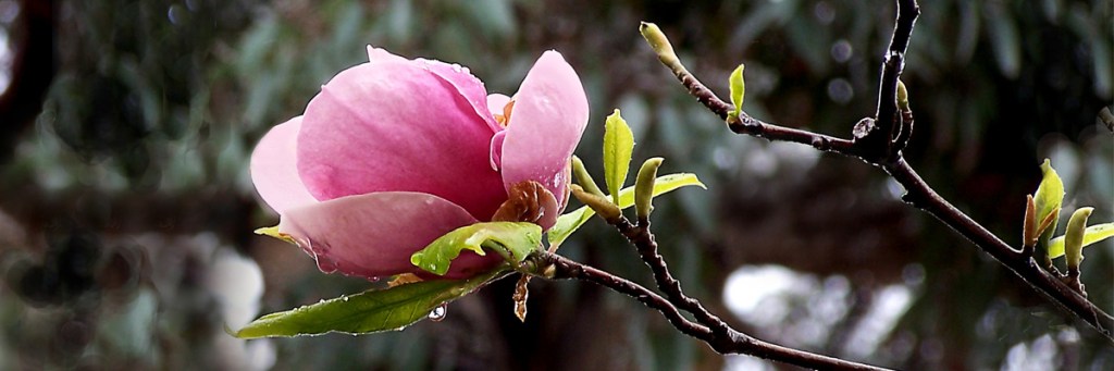 Are You living in the&nbsp;present?