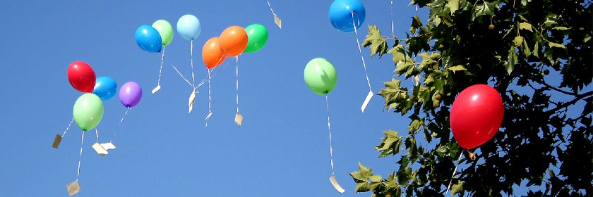 Credit: Arjan Olsder/Flickr/Creative Commons