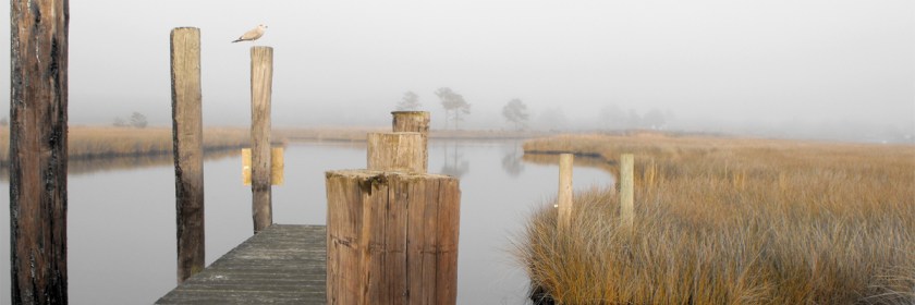 Swan Quarter, North Carolina Credit: Ingrid Lemme/Wikipedia