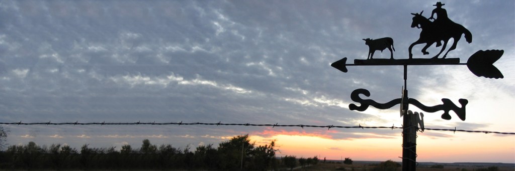 The crime of climate-change&nbsp;denial