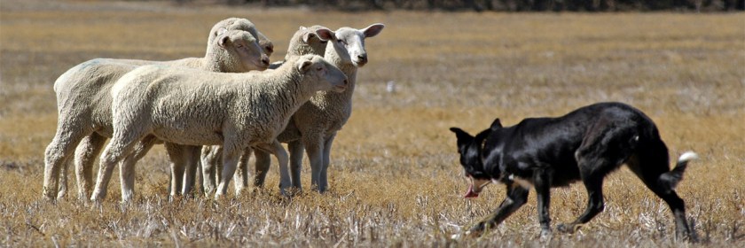 Credit: Chuan Chew/Flickr/Creative Commons